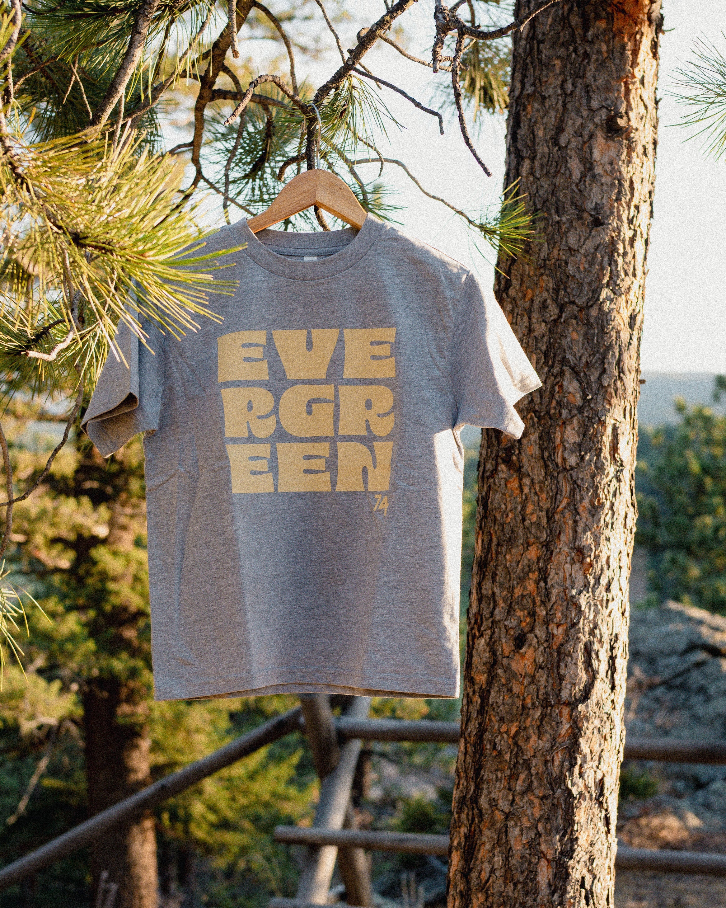 Gray t-shirt with 'EVERGREEN' printed in off-white on a hanger against a natural background.